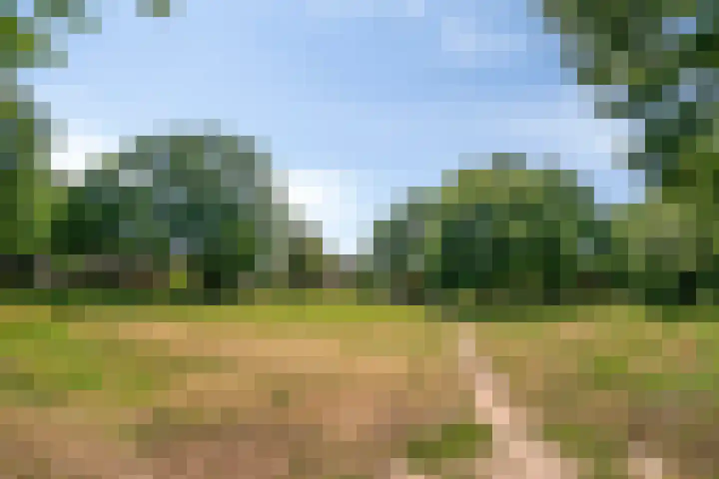 Koopmanstraat 30 Uden thumbnail 42
