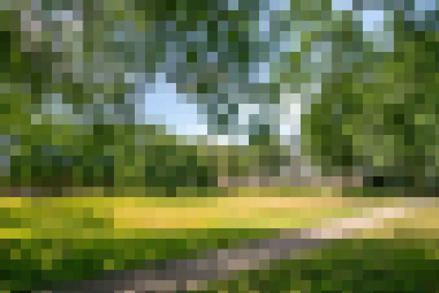 Koopmanstraat 30 Uden thumbnail 43