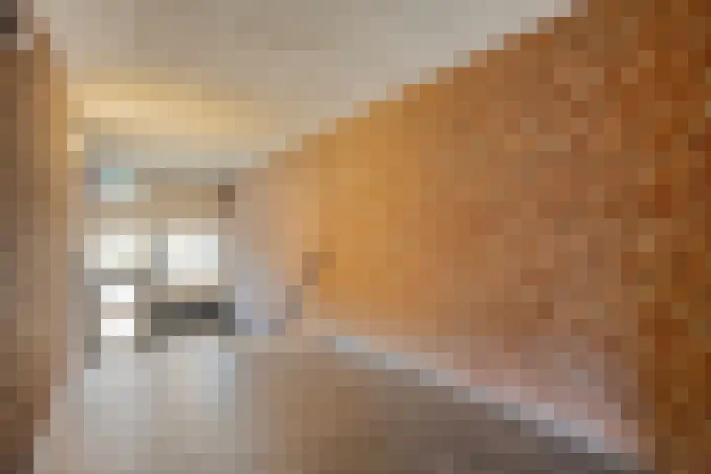 Koopmanstraat 30 Uden thumbnail 7