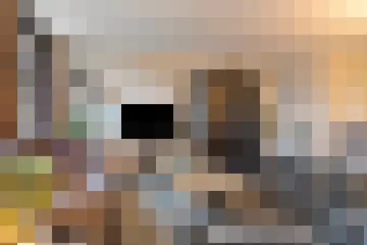 Koopmanstraat 34 Uden thumbnail 13