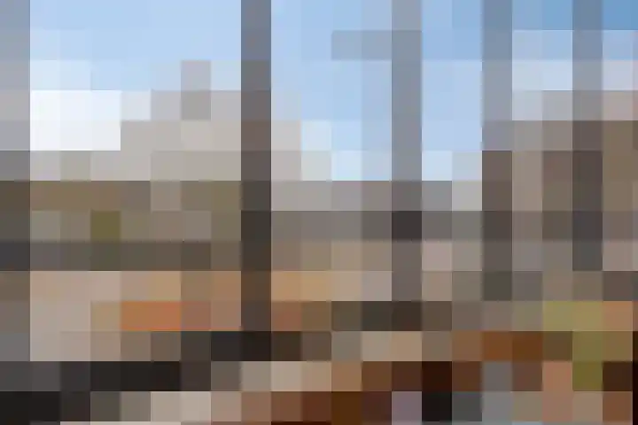 Koopmanstraat 34 Uden thumbnail 22