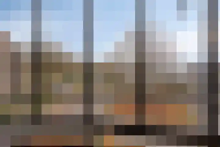 Koopmanstraat 34 Uden thumbnail 23