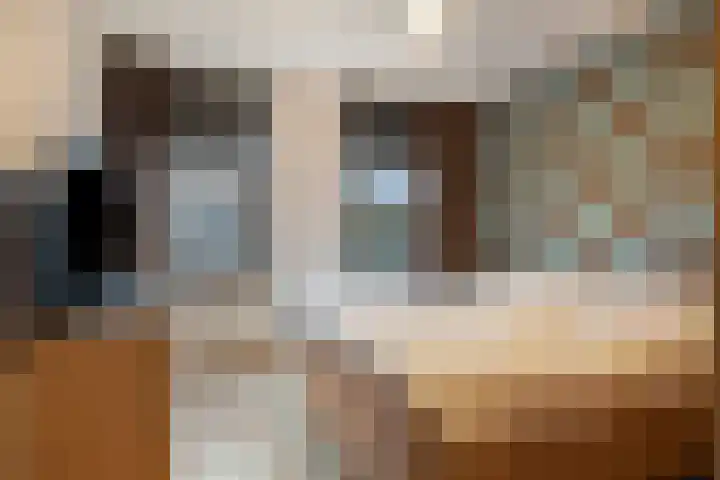 Koopmanstraat 34 Uden thumbnail 24