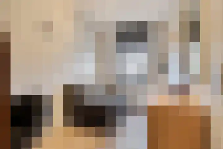 Koopmanstraat 34 Uden thumbnail 26