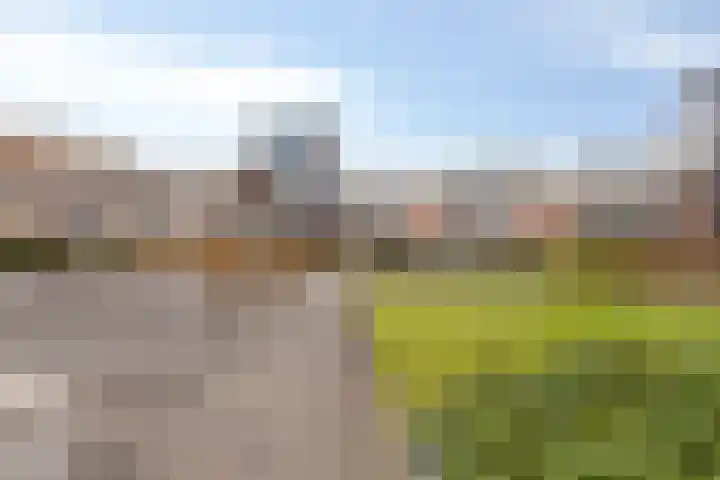 Koopmanstraat 34 Uden thumbnail 32