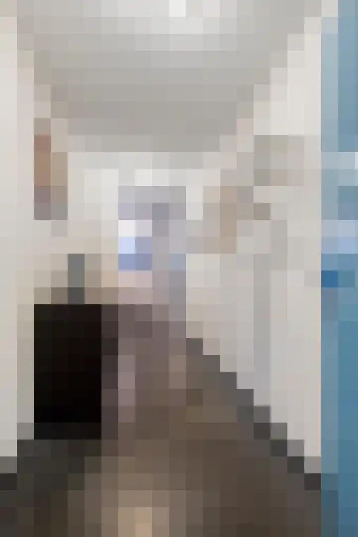 Koopmanstraat 34 Uden thumbnail 8
