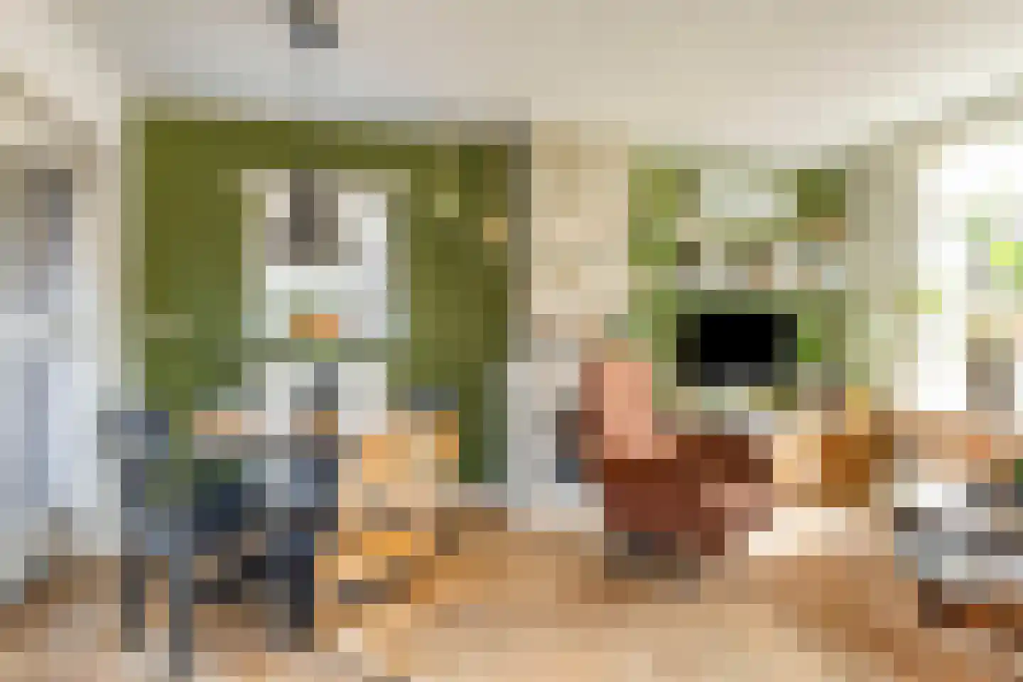 Koopmanstraat 43 Aalten thumbnail 15