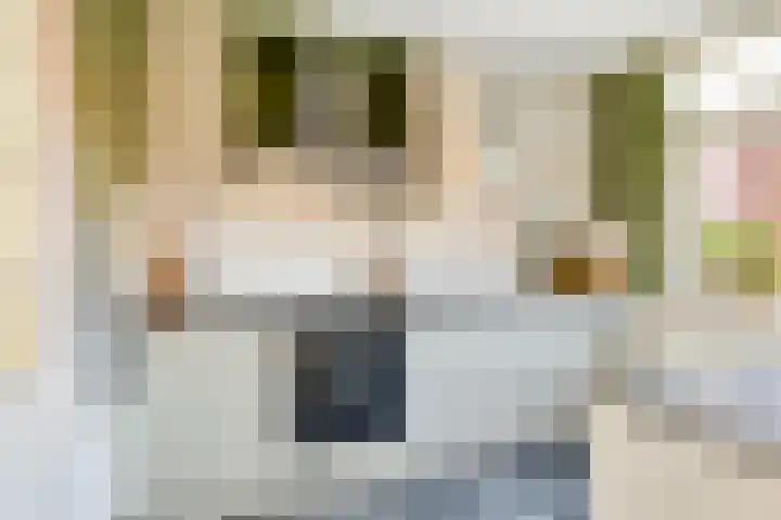 Koopmanstraat 43 Aalten thumbnail 17