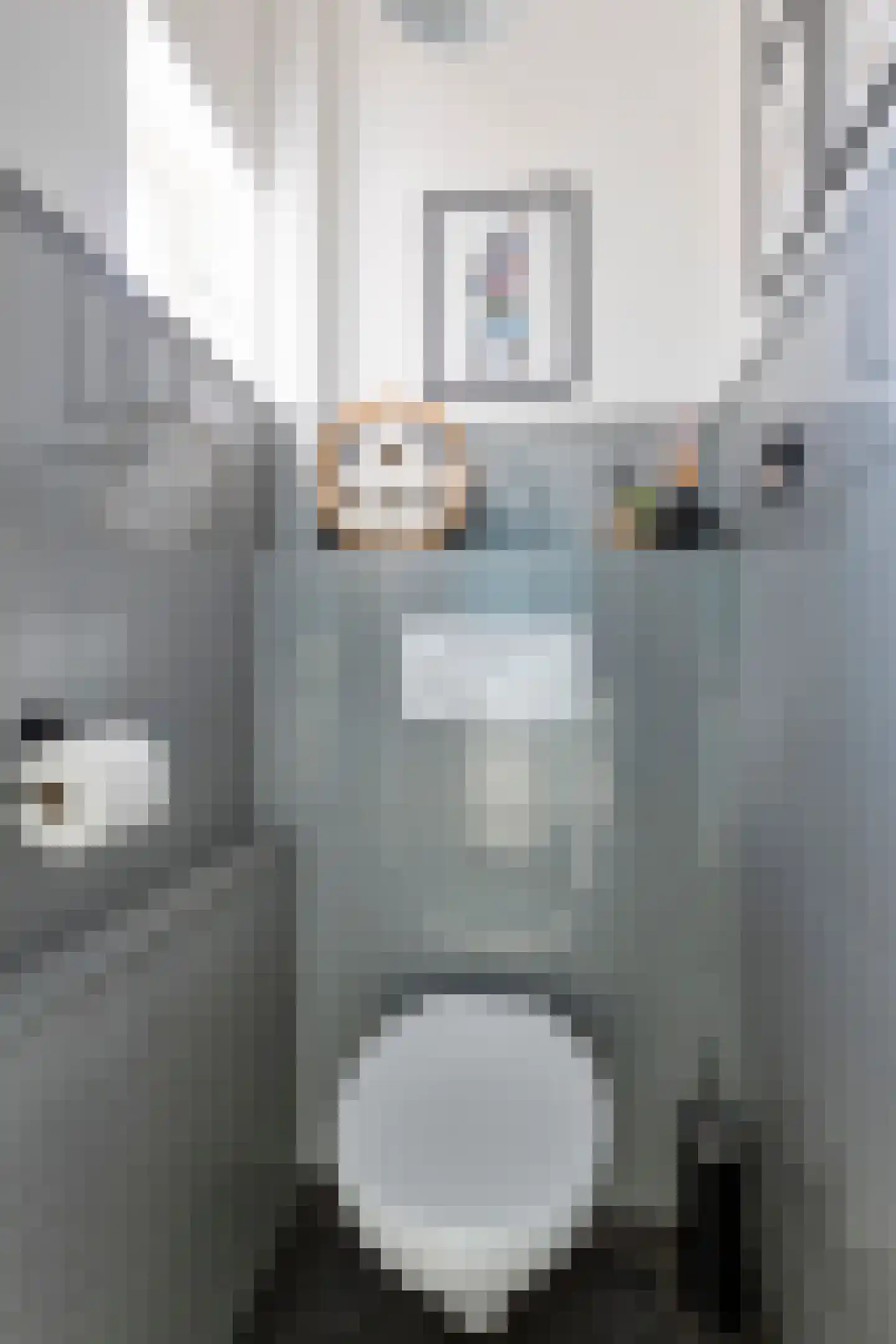 Koopmanstraat 43 Aalten thumbnail 9
