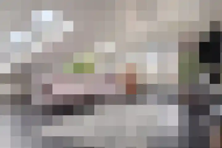 Koopmanstraat 50 Uden thumbnail 11