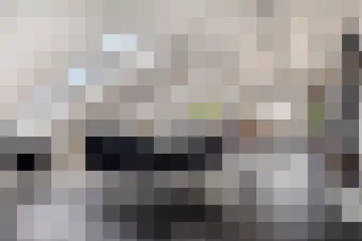 Koopmanstraat 50 Uden thumbnail 13