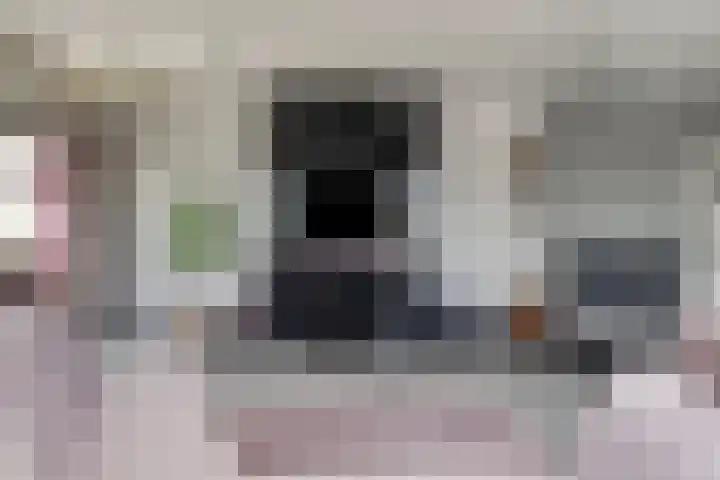 Koopmanstraat 50 Uden thumbnail 14