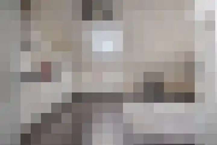 Koopmanstraat 50 Uden thumbnail 17