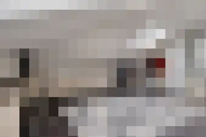 Koopmanstraat 50 Uden thumbnail 21