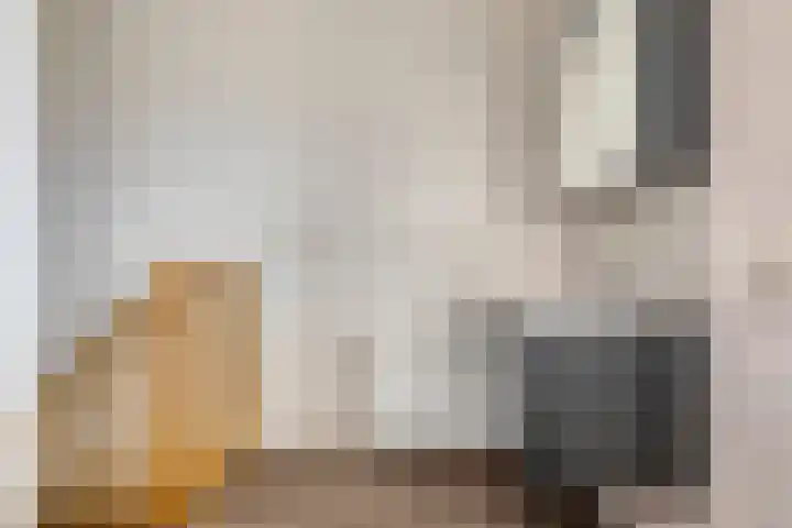 Koopmanstraat 50 Uden thumbnail 29