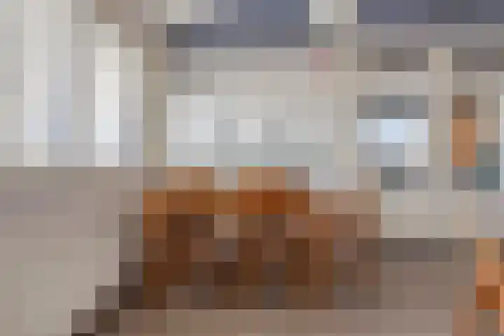 Koopmanstraat 50 Uden thumbnail 30