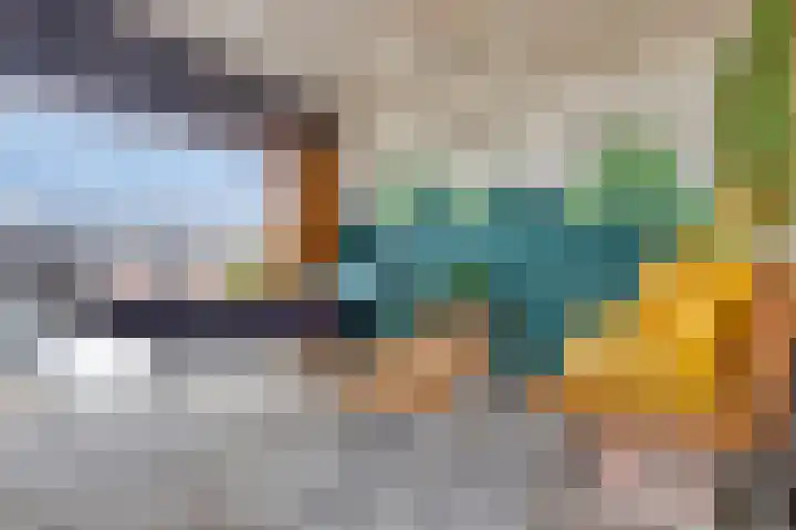 Koopmanstraat 50 Uden thumbnail 33