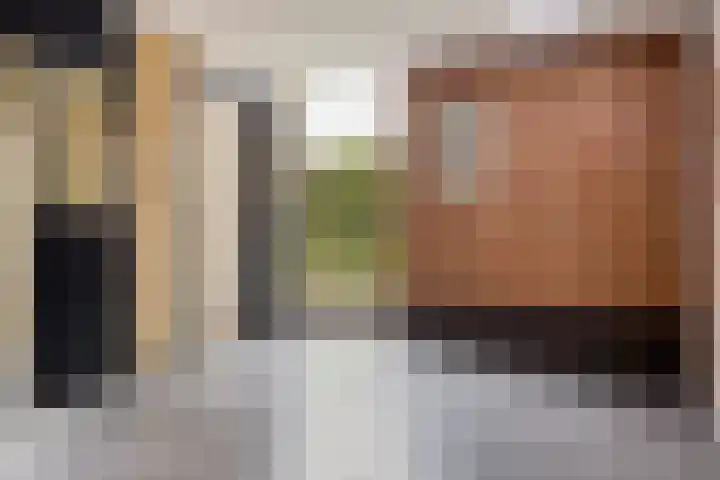 Koopmanstraat 50 Uden thumbnail 38
