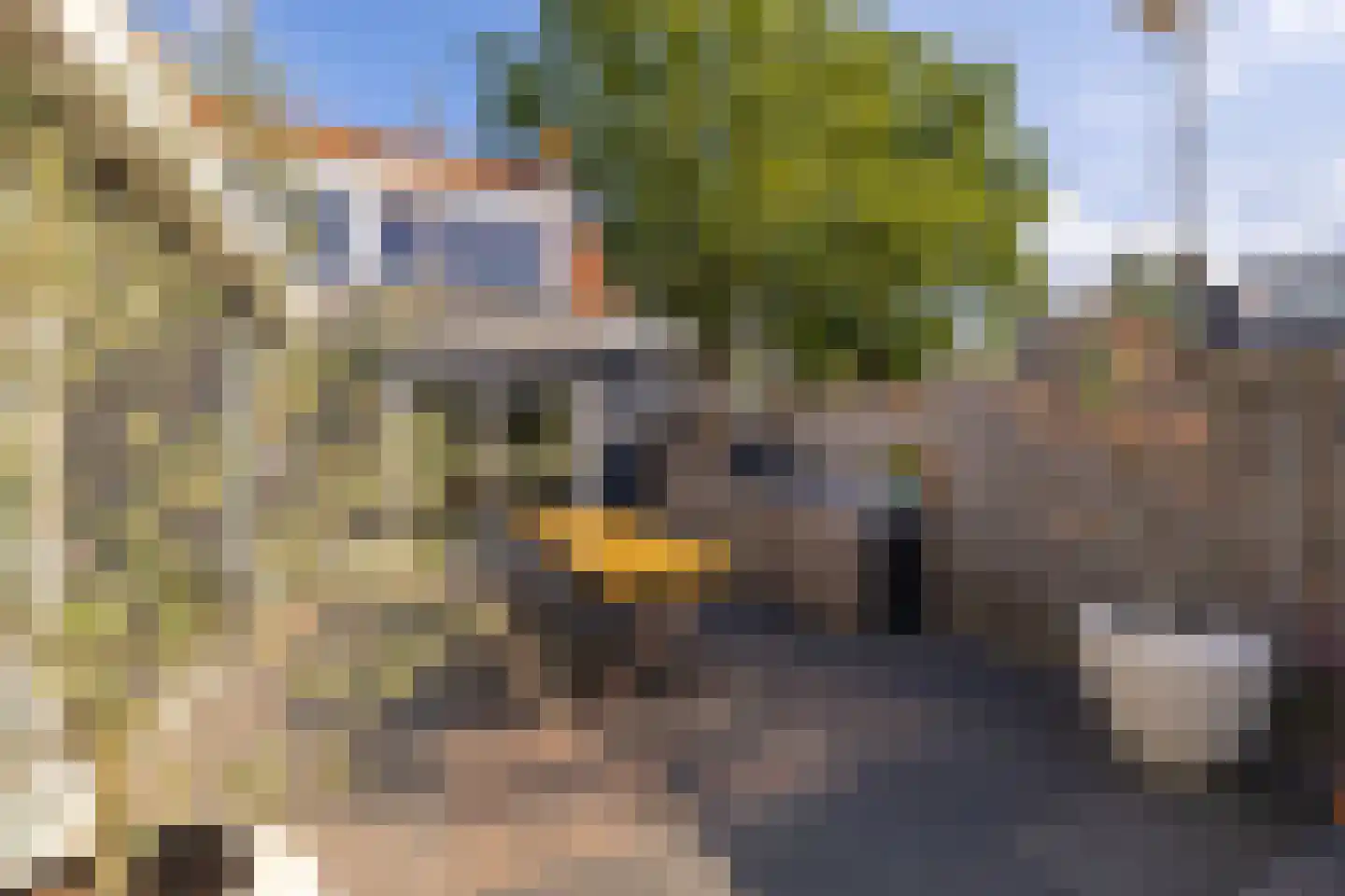 Koopmansvoetpad 1 Oost-Souburg thumbnail 29