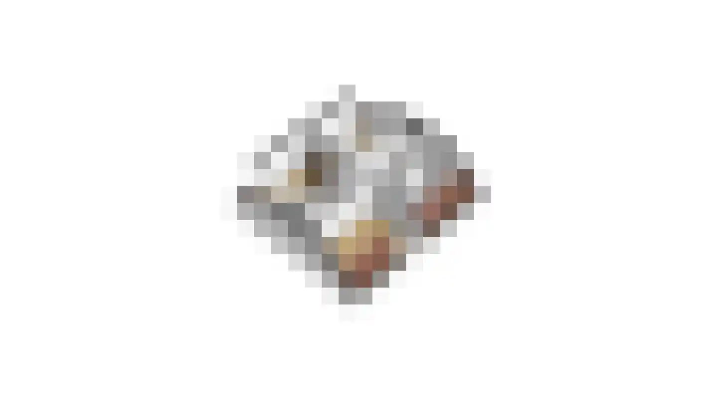 Koopmansvoetpad 1 Oost-Souburg thumbnail 33