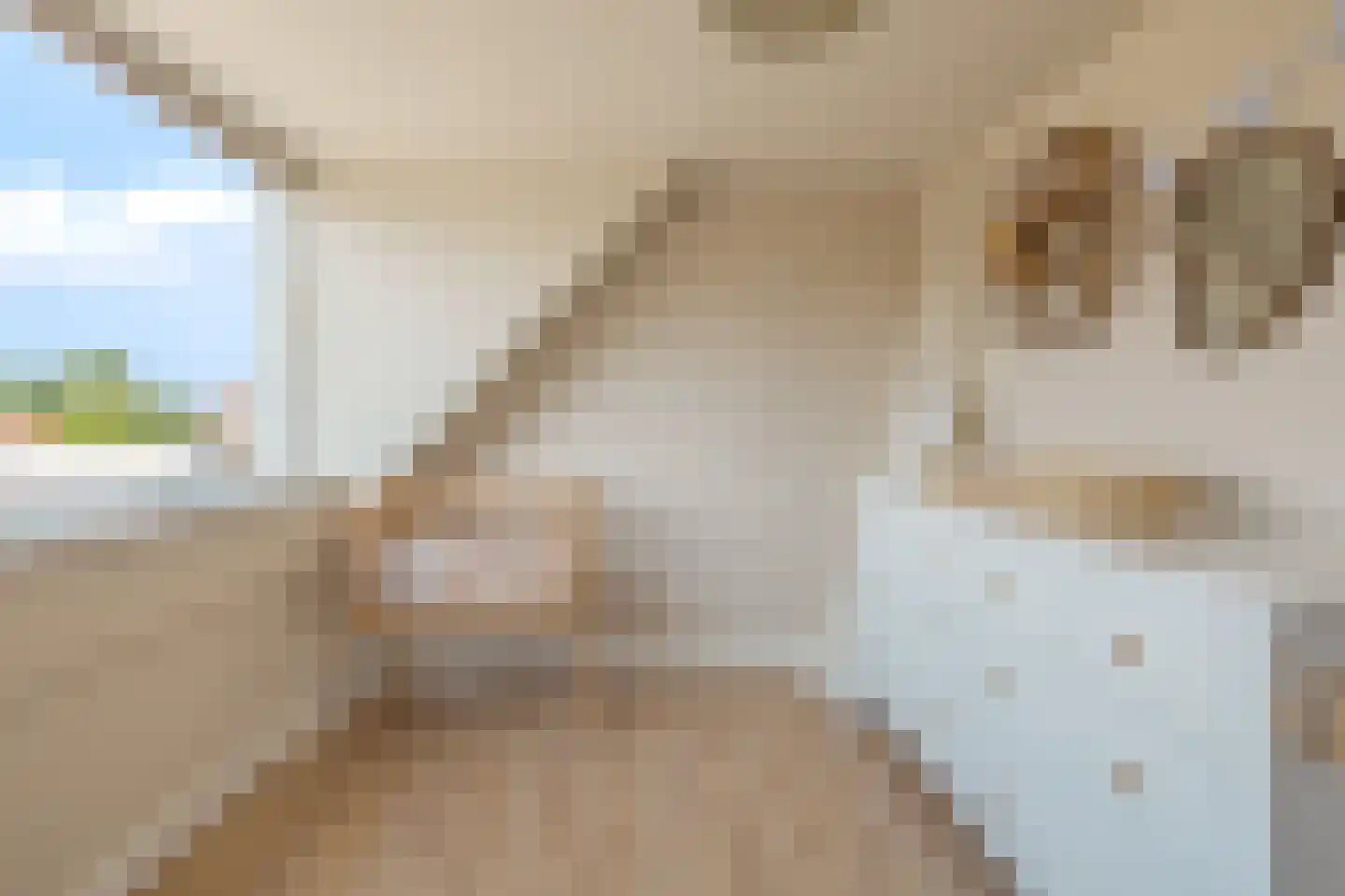 Koopmansvoetpad 1 Oost-Souburg thumbnail 46