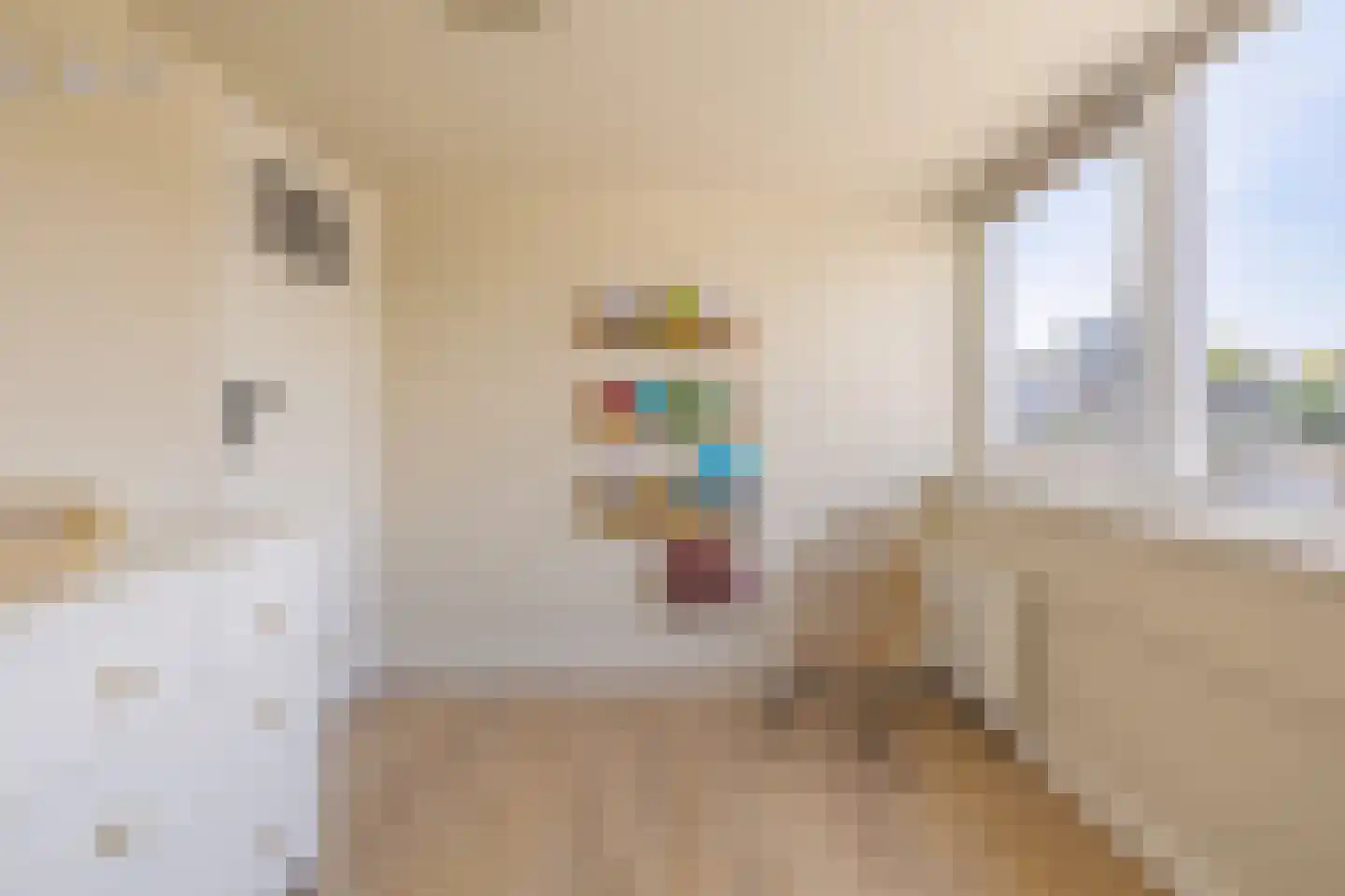 Koopmansvoetpad 1 Oost-Souburg thumbnail 47