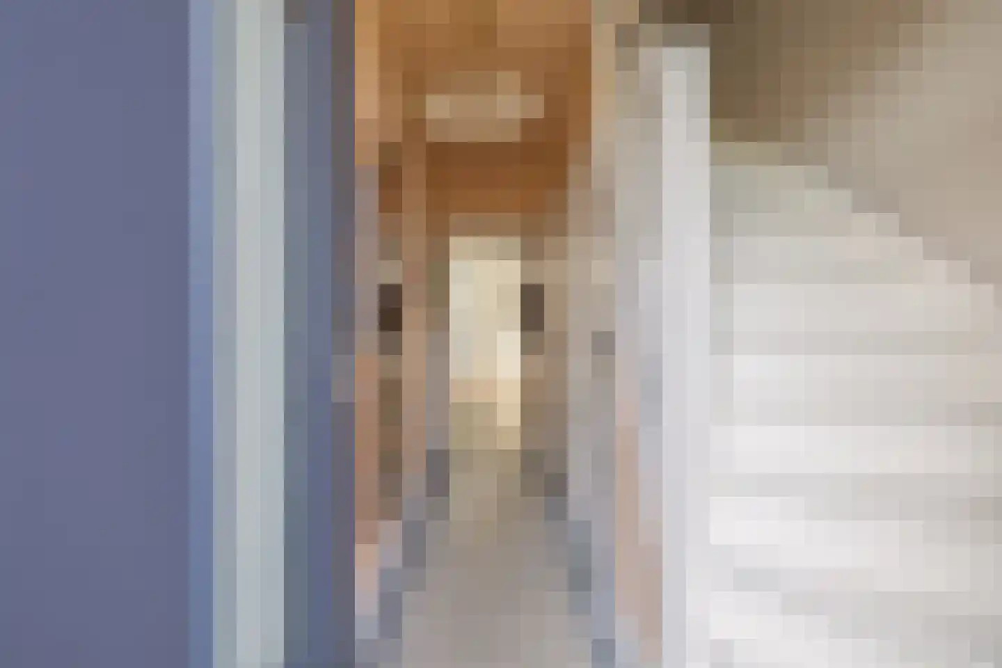 Koopmansvoetpad 1 Oost-Souburg thumbnail 5