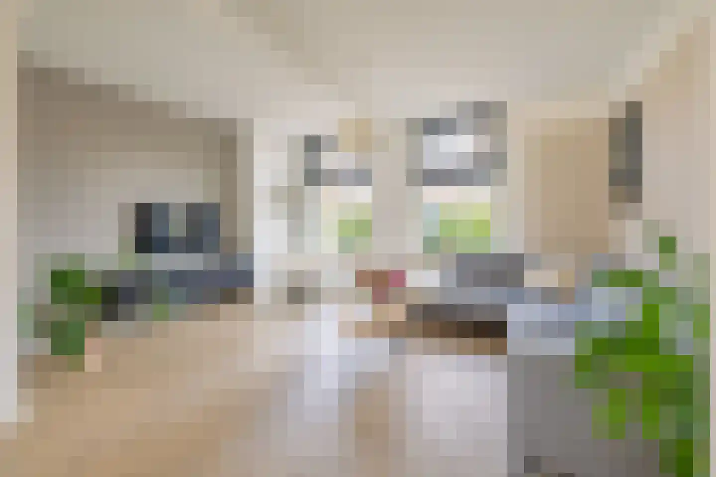Koopmansvoetpad 1 Oost-Souburg thumbnail 9
