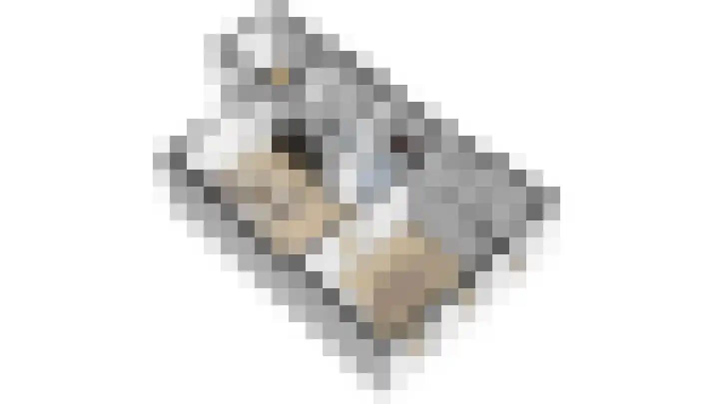Koopmansvoetpad 19 Oost-Souburg thumbnail 5