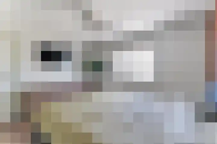 Koopmansvoetpad 31 Oost-Souburg thumbnail 18