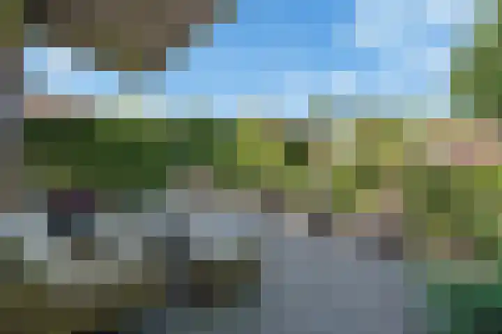 Koopmansvoetpad 31 Oost-Souburg thumbnail 28