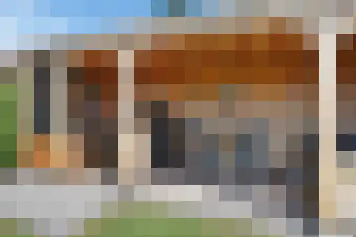 Koopmansvoetpad 31 Oost-Souburg thumbnail 31
