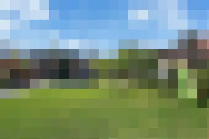 Koopmansvoetpad 31 Oost-Souburg thumbnail 32