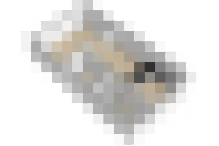 Koopmansvoetpad 31 Oost-Souburg thumbnail 43