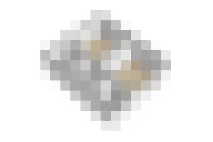 Koopmansvoetpad 31 Oost-Souburg thumbnail 44
