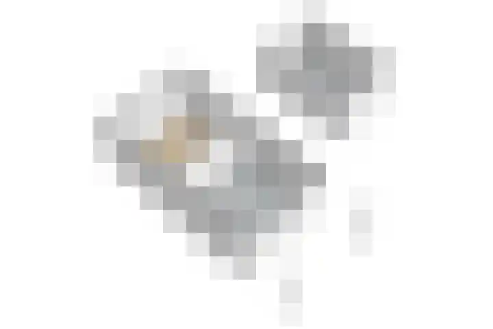 Koopmansvoetpad 31 Oost-Souburg thumbnail 46