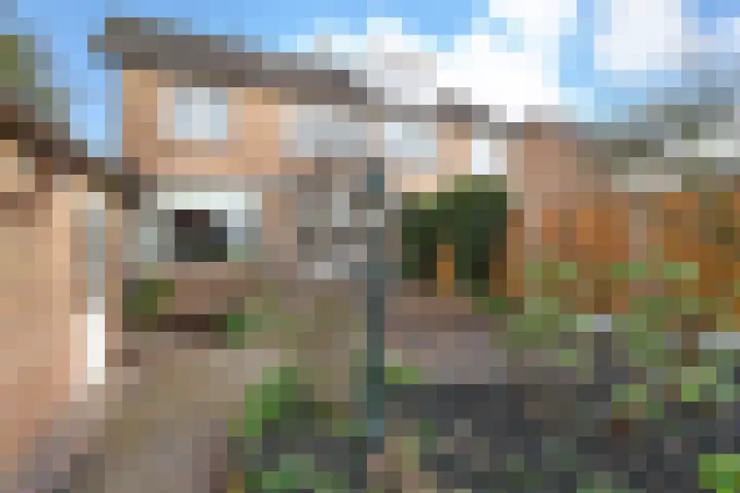 Koopmansvoetpad 59 Oost-Souburg thumbnail 26