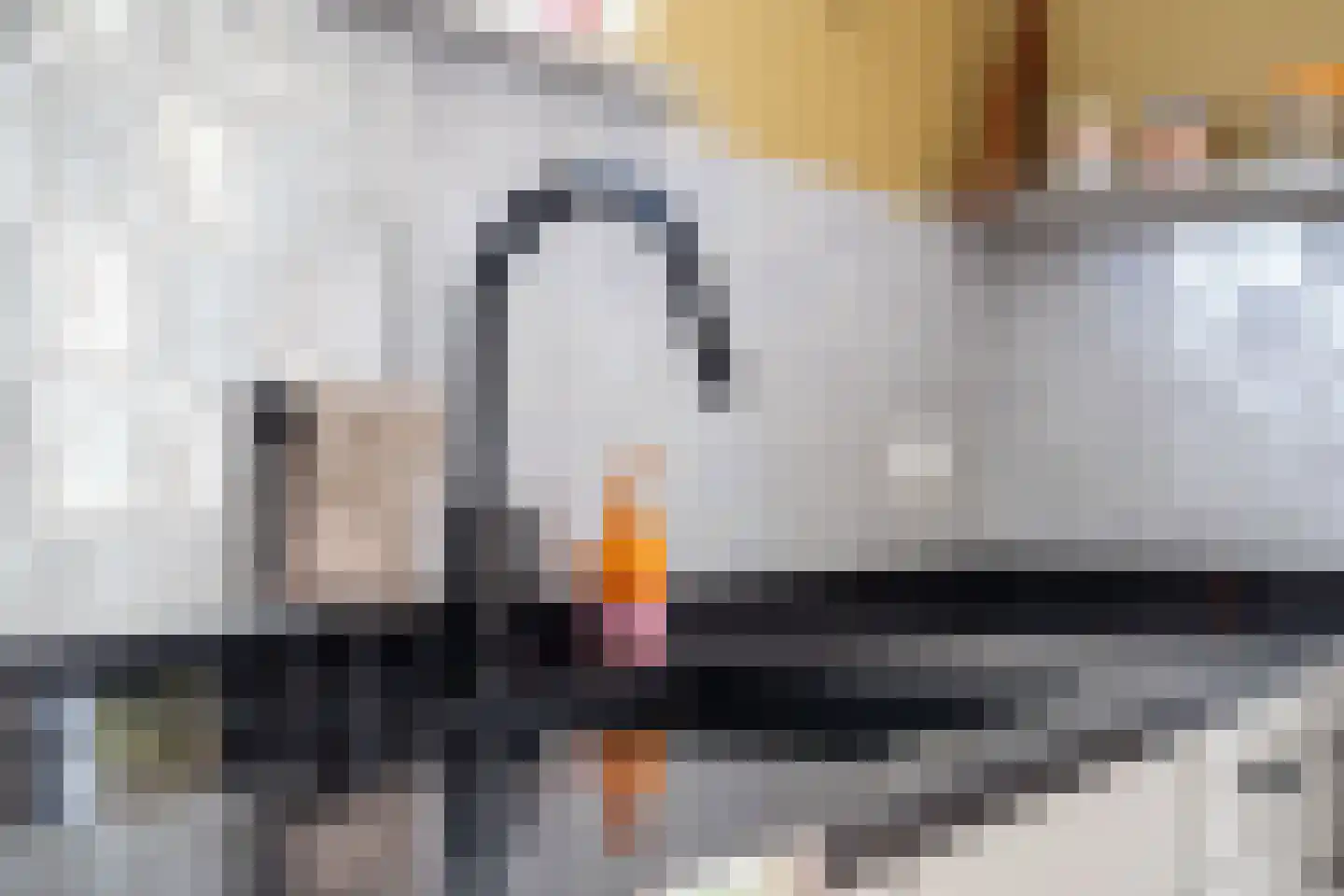 Koopmanswei 1 Brantgum thumbnail 33