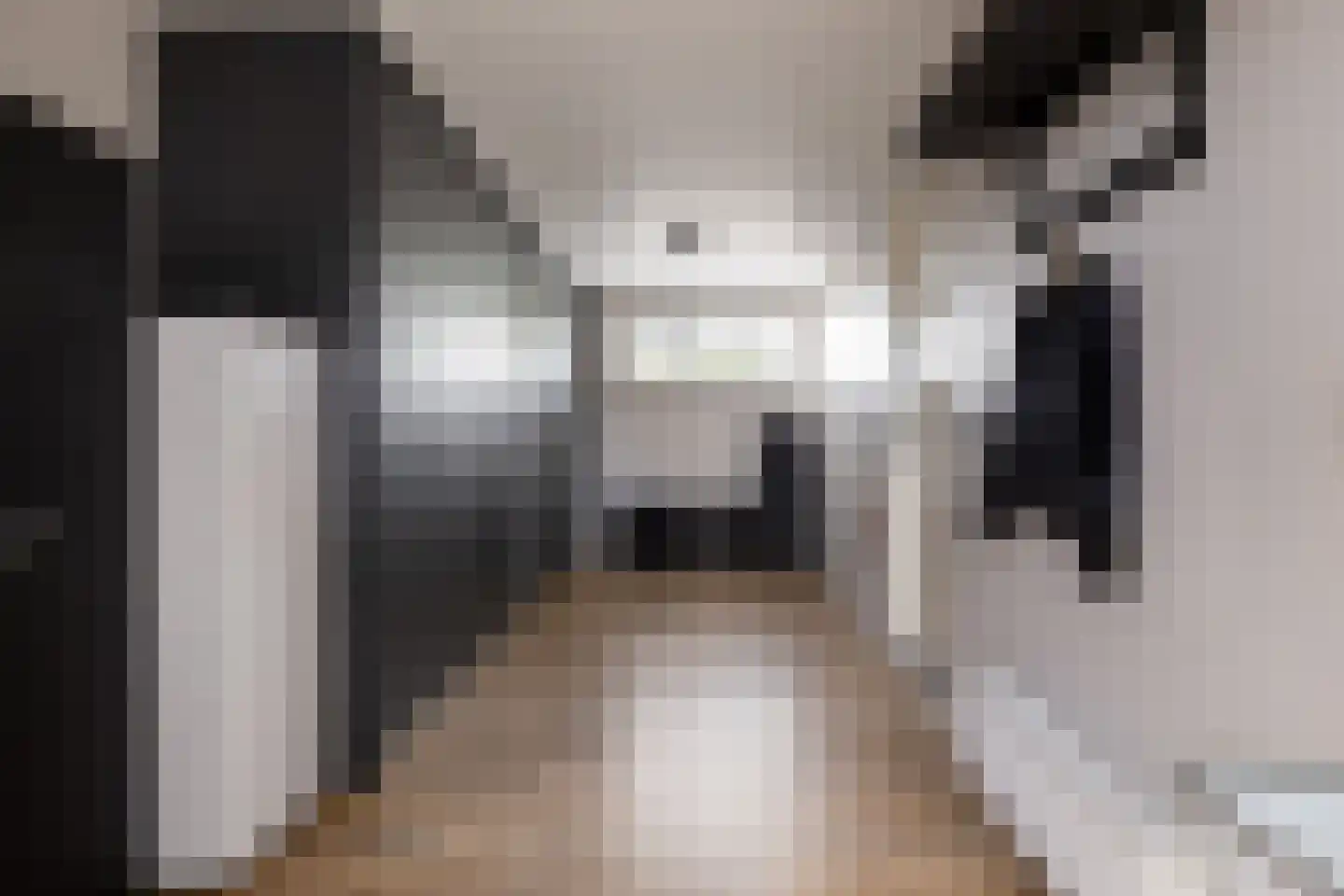 Koopmanswei 1 Brantgum thumbnail 38