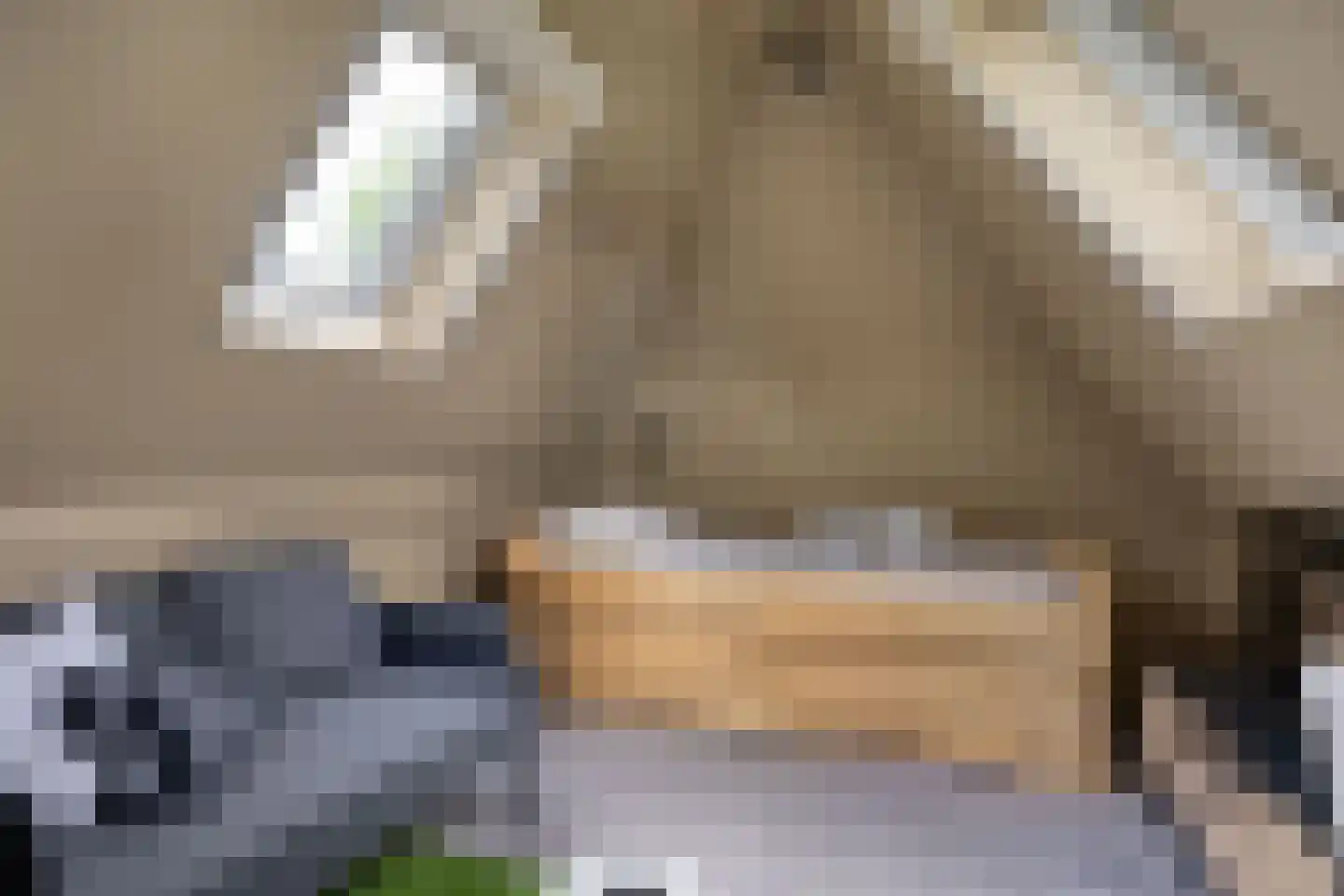 Koopmanswei 1 Brantgum thumbnail 51