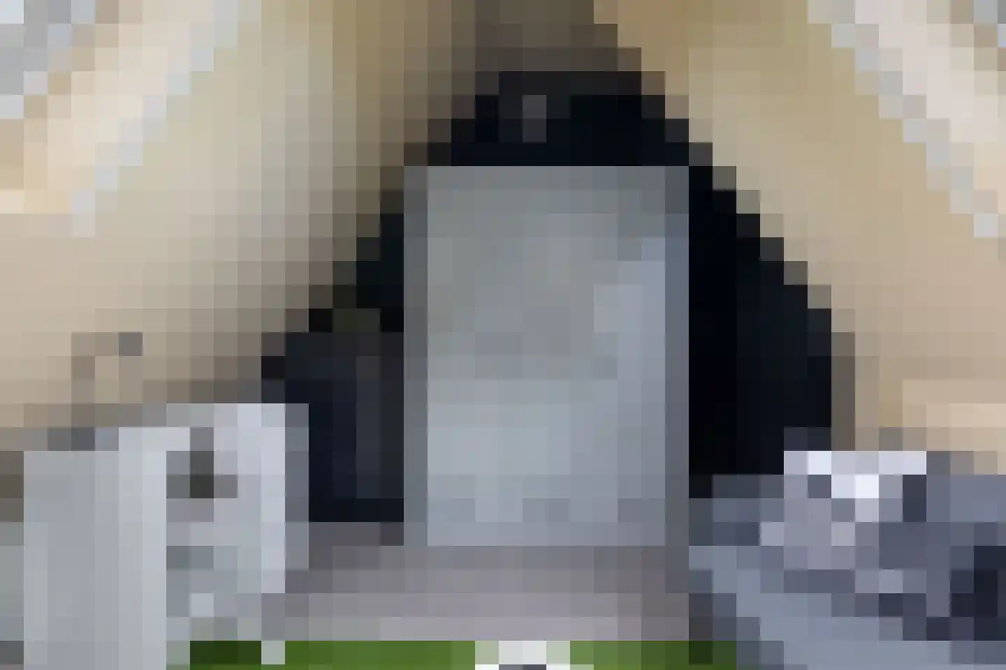 Koopmanswei 1 Brantgum thumbnail 52