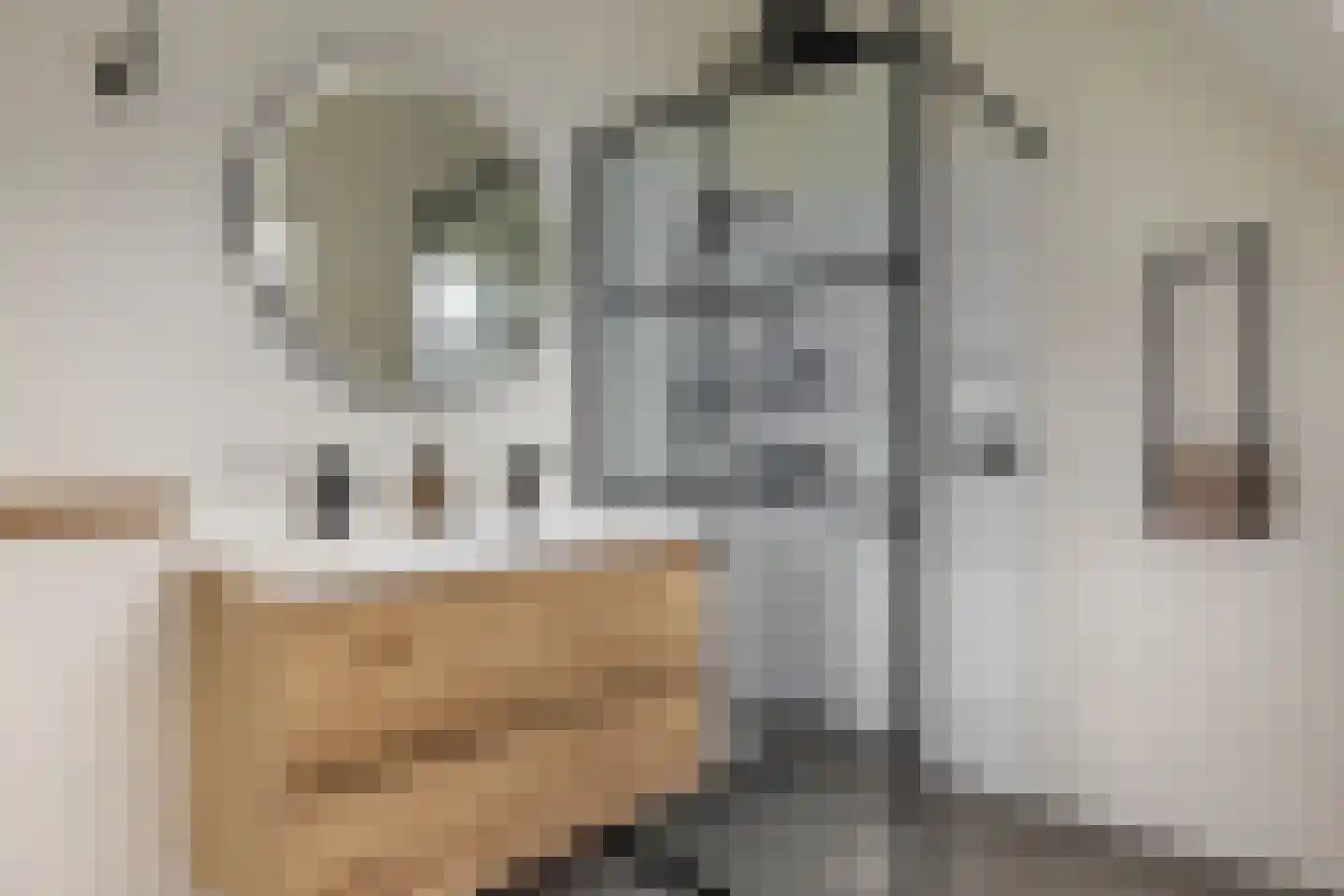 Koopmanswei 1 Brantgum thumbnail 55
