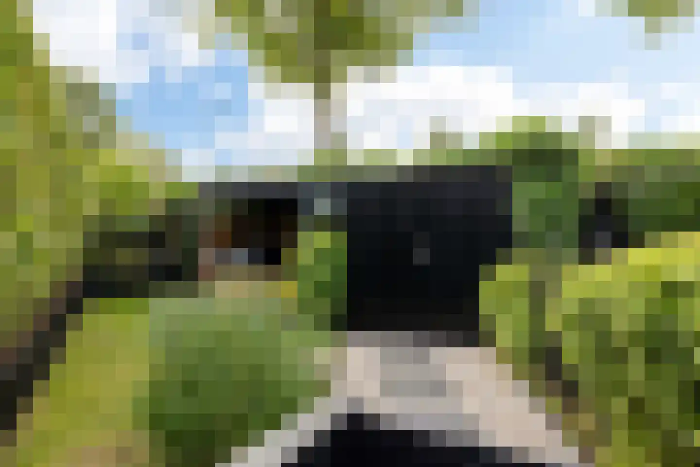Koopmanswei 1 Brantgum thumbnail 58