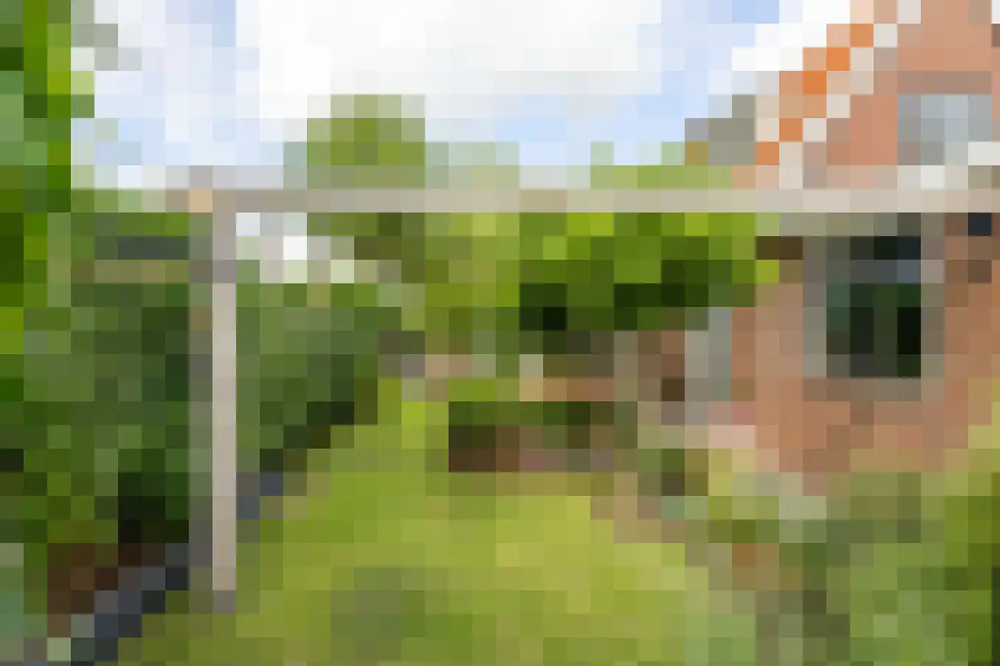 Koopmanswei 1 Brantgum thumbnail 60