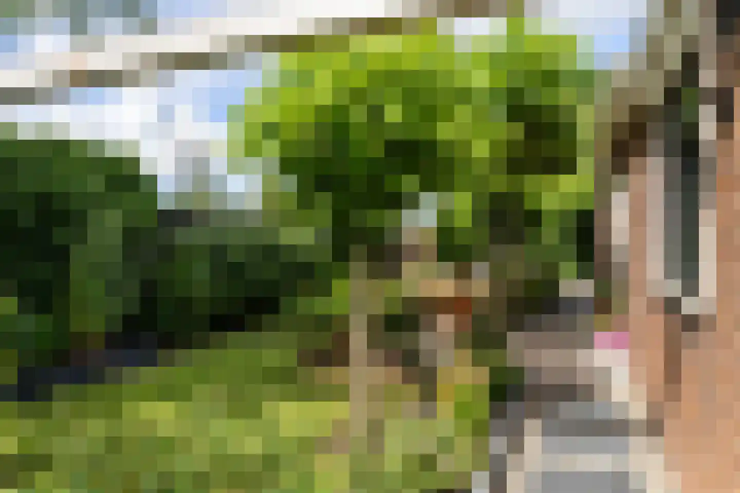 Koopmanswei 1 Brantgum thumbnail 61