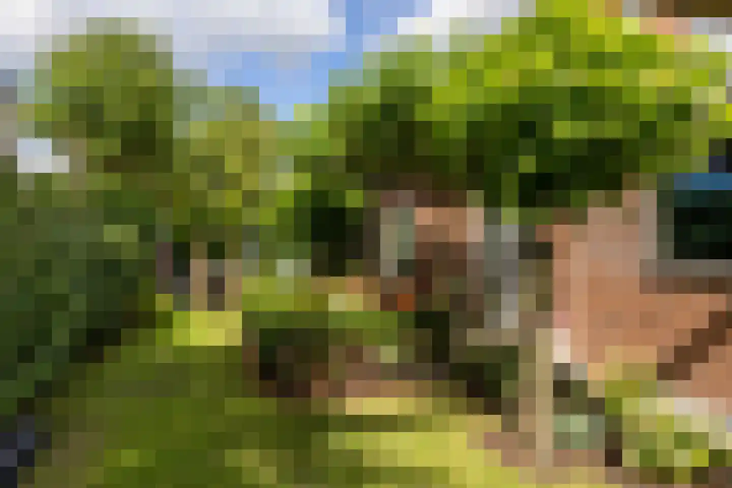 Koopmanswei 1 Brantgum thumbnail 62