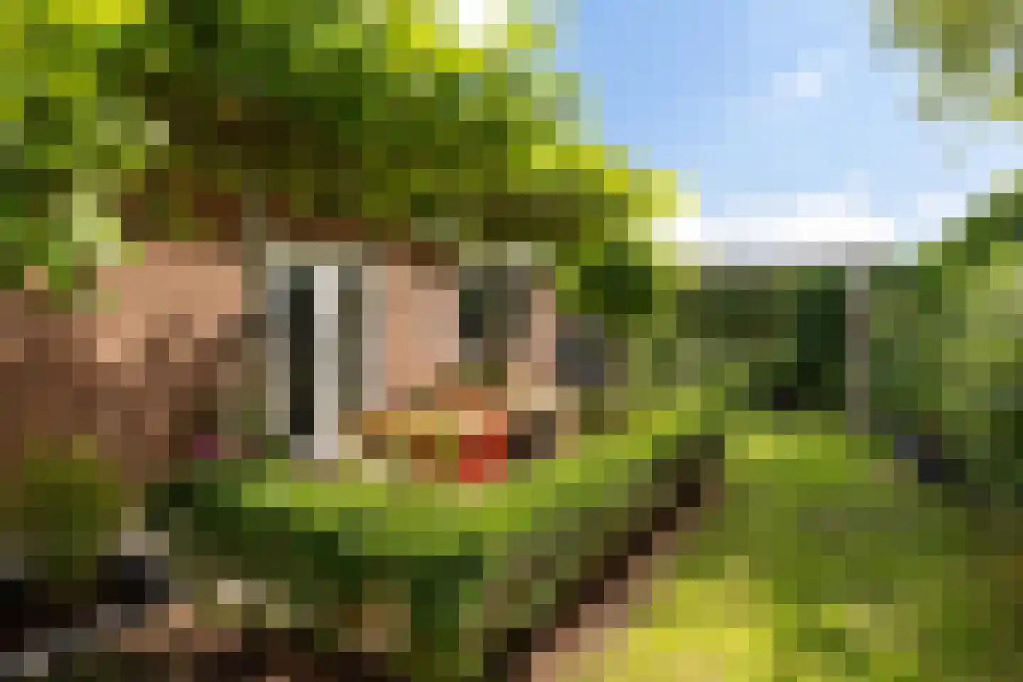 Koopmanswei 1 Brantgum thumbnail 63
