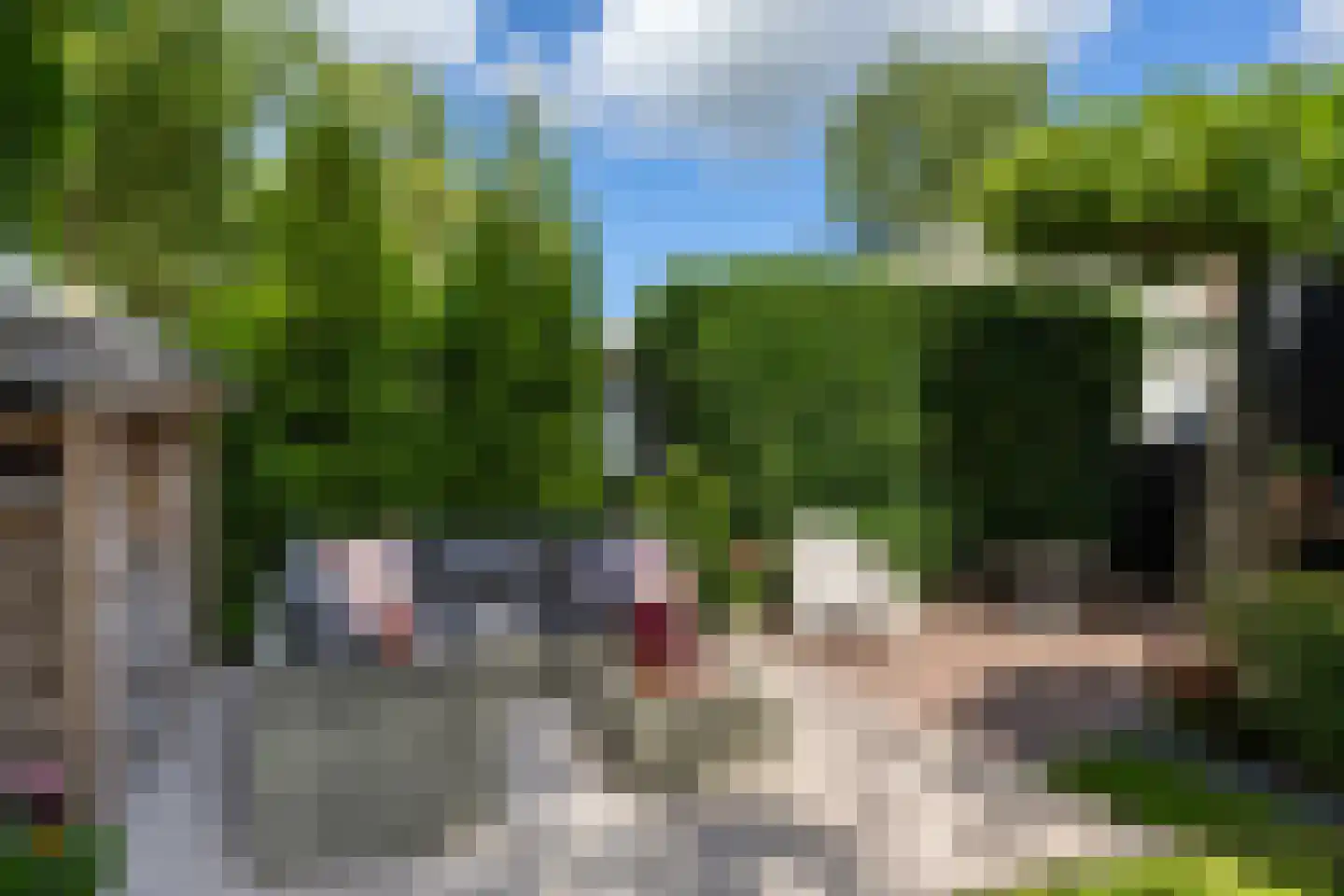 Koopmanswei 1 Brantgum thumbnail 64