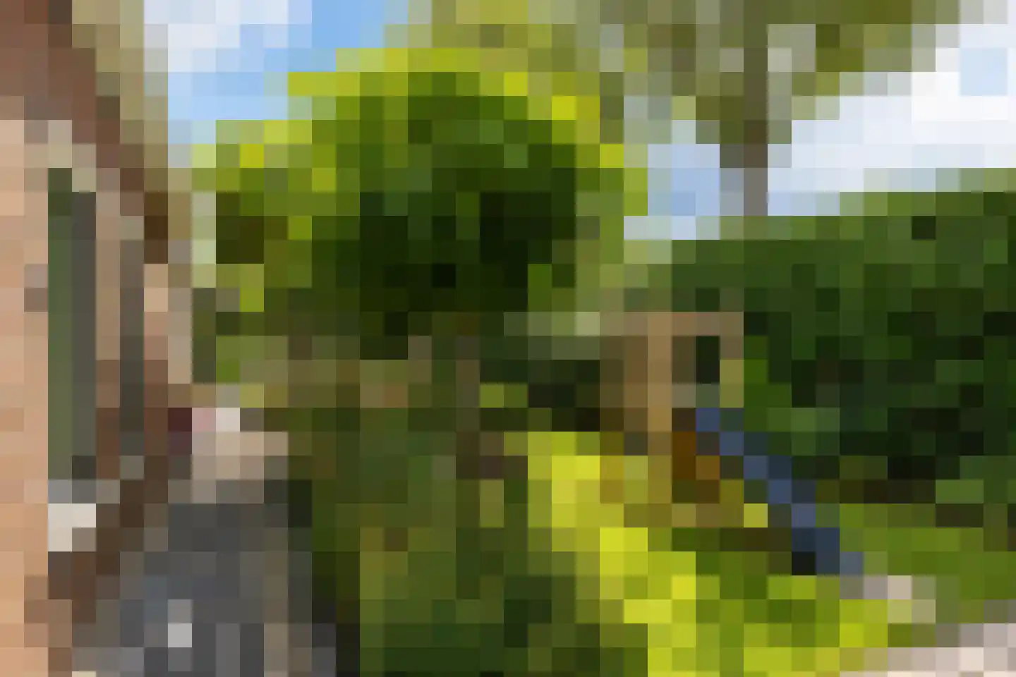 Koopmanswei 1 Brantgum thumbnail 65