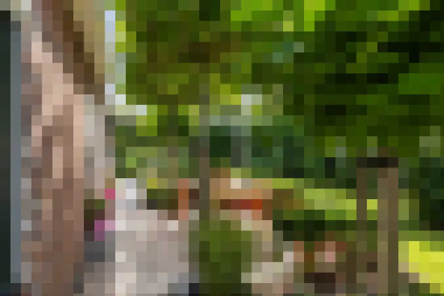 Koopmanswei 1 Brantgum thumbnail 66